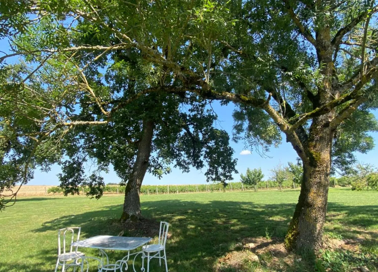 Gites Charme Et Cosy Avec Piscine - Le Clos Boissiere Valence-sur-Baïse Vakantiehuis
